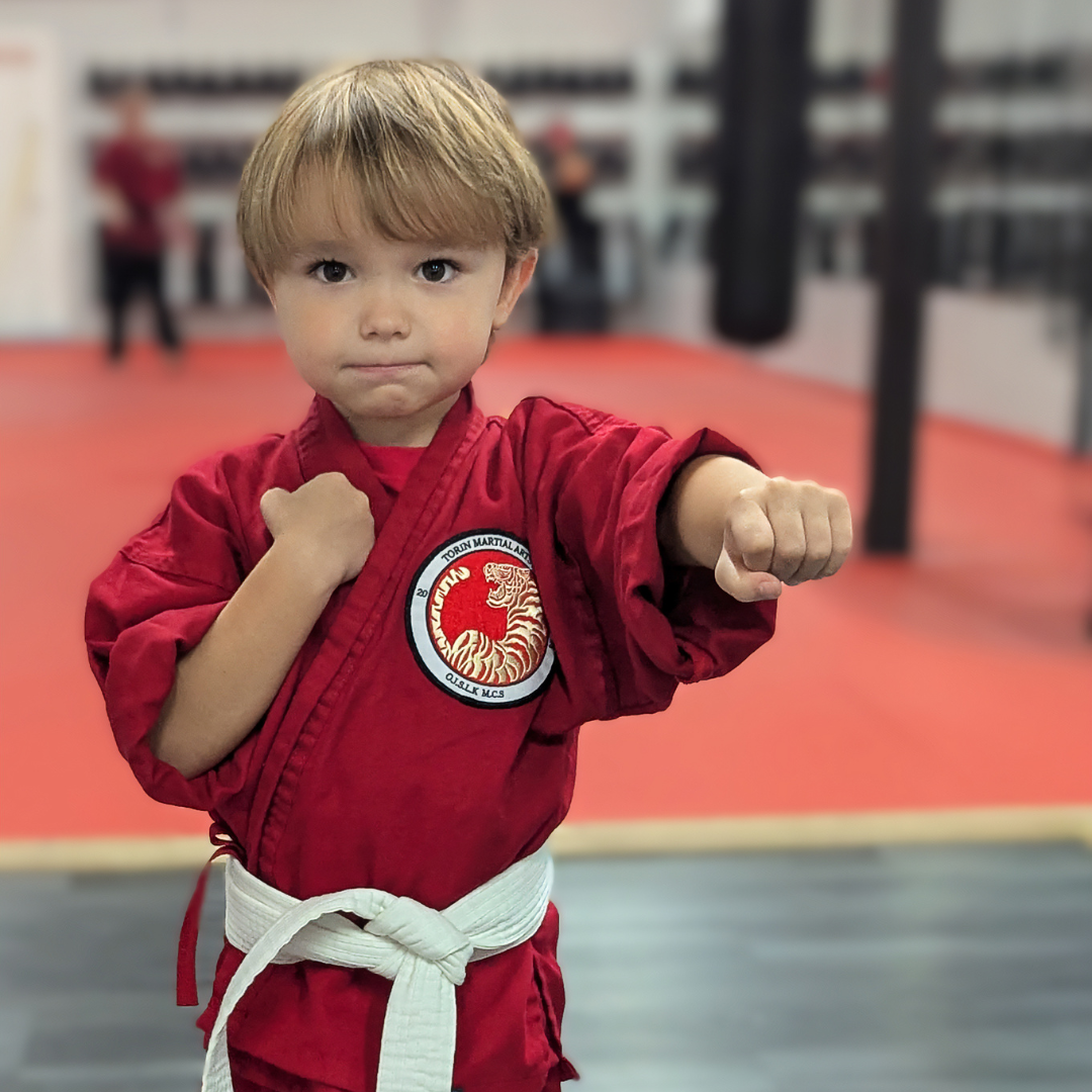 Kids karate Valrico FL